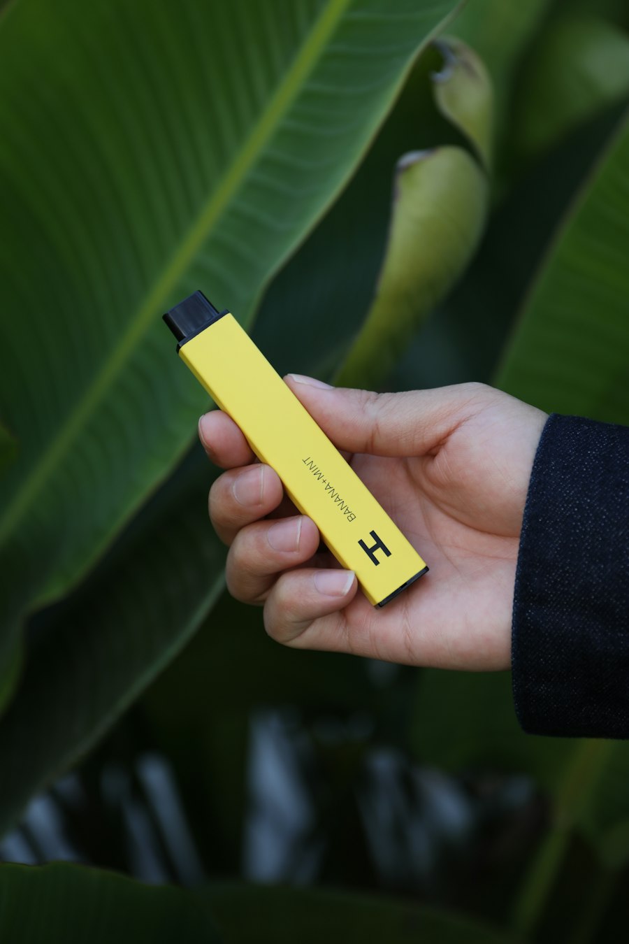 disposable vape