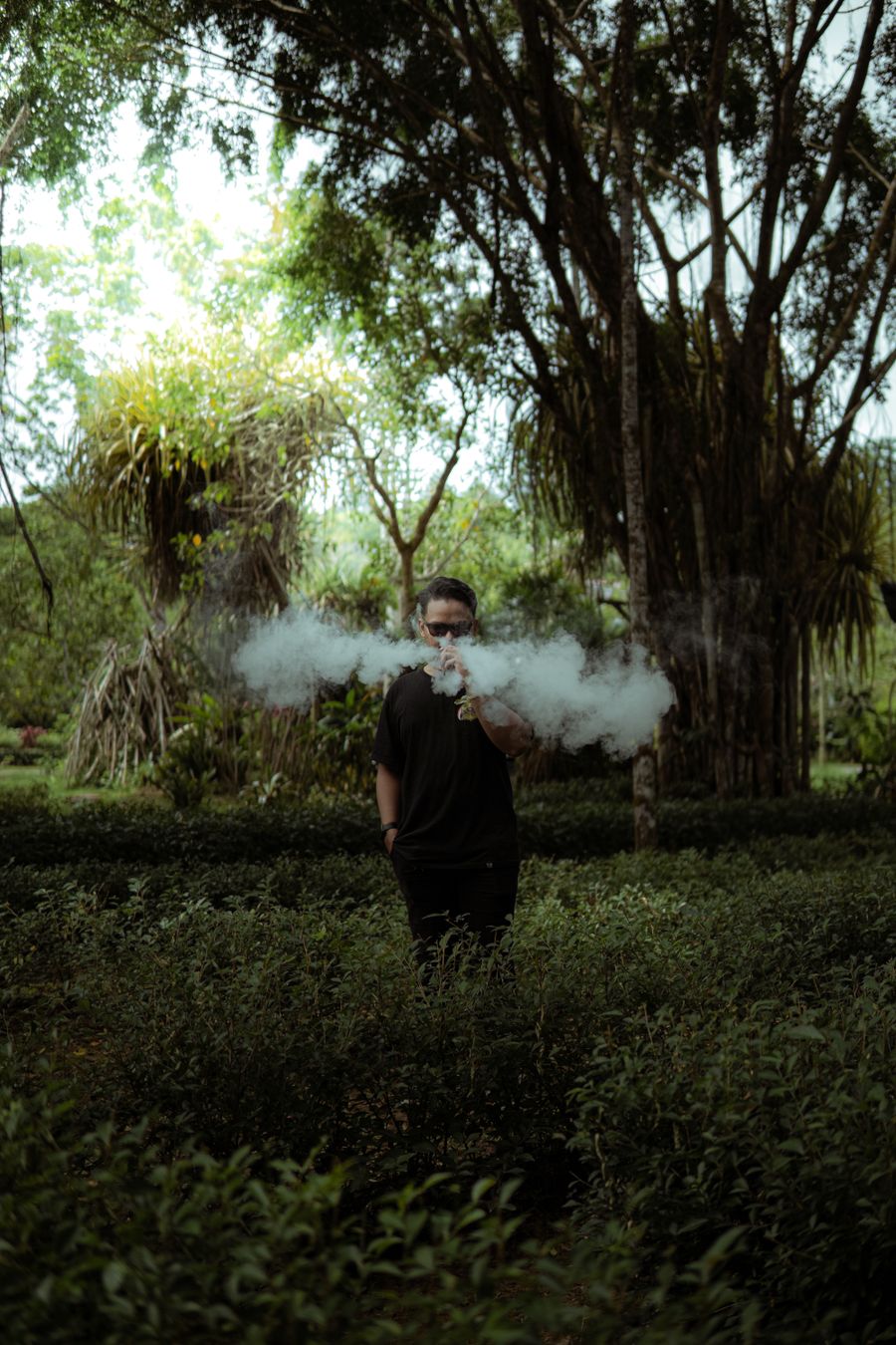 vape starter kit