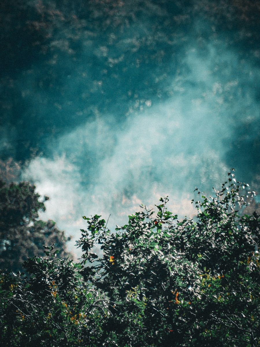 vape starter bundle